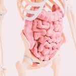 Inflammatory bowel diseases could be detected at birth, study finds