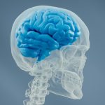 Research shows a very important cause of stroke