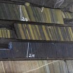 Iron: The metal that powered early life on Earth