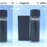 Scientists develop low-cost method to remove microplastics from water