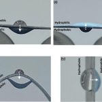 Scientists develop paper-based device that powers wearables using moisture from the air