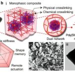 Super-strong magnetic muscles: New tech lifts 1,000 times its weight!