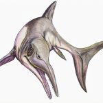 Discovery of rare new fossil sheds light on New Zealand’s extinct dolphin-like reptiles