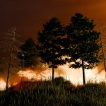 Wildfires: How to protect your lung health in poor air quality