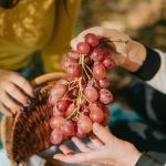 Eating grapes may improve muscle health, study finds