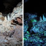 Glowing caves on Earth may hold clues to life beyond our planet