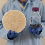 New gel could pull drinking water from the air using food scraps and plants