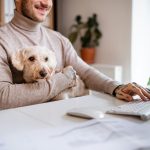 Pet-owners with secure relationships with their pets are less depressed