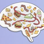 Scientists find a surprising link between obesity and food pleasure