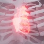 Early warning signs of heart disease everyone needs to know