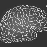 Brain’s ‘blue spot’ may hold clues to healthy aging and Alzheimer’s risk