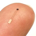 This tiny brain sensor you can wear every day