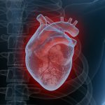 Understanding coronary artery disease: signs, risks, and prevention