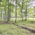 1,000-year-old Native American fields rewrite farming history