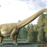 Dinosaur stomach fossil reveals Sauropods gobbled plants without chewing