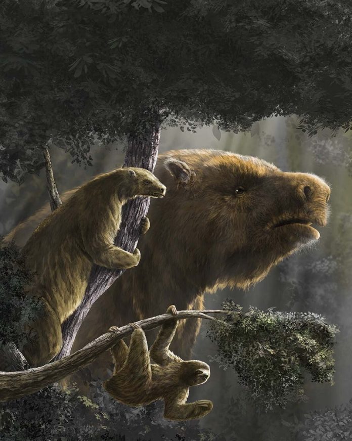 How giant ground sloths got so big—and why that was their downfall