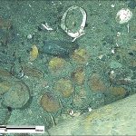 Shipwreck secrets: What 300-year-old coins are telling us