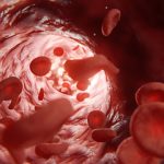 How blood vessel cells may worsen heart disease