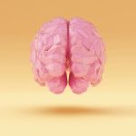 How your diet can help prevent Alzheimer’s