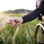 Scientists find how to slow Parkinson’s and Lewy body dementia