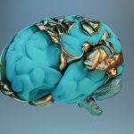 Millipedes may hold the key to future brain drugs