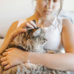 Pets get hay fever too: How to spot it and manage it