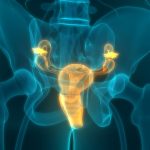 Plant compound may slow down cervical cancer growth