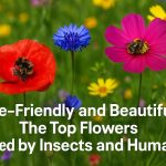 The secret life of flowers: What bees want (and you’ll love too)