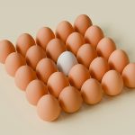 Cracking the mystery: What makes people try vegan eggs?