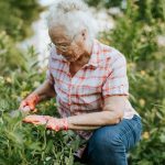 Study finds a deep cause of memory loss in Alzheimer’s disease