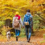 Don’t like the gym? Just walk—it could help you live longer