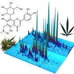 Don’t toss those cannabis leaves—they’re loaded with rare compounds