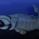 How rising ocean oxygen sparked an explosion of ancient marine life