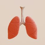 Lungs play a big role in cancer-related blood clots