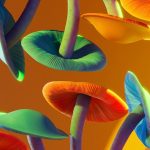 Can magic mushrooms slow aging? new study says yes