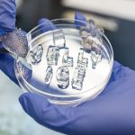 New ‘jelly ice’ could keep things cold—without meltwater