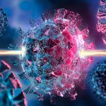 Newly discovered compounds could help the body fight any virus