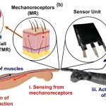 Robots are getting a human-like sense of touch—thanks to smart fabric