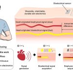 Skin-Like blood pressure patch could monitor blood pressure effectively