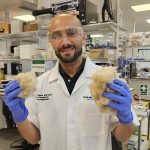 Toothpaste made from hair could repair enamel, study finds