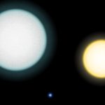White dwarf stars could create surprisingly common long lived habitable zones