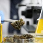 New study suggests marijuana use may affect DNA