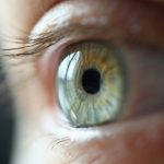 Blue, green, brown, or something in between – the science of eye color explained