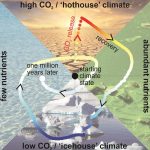 Earth’s “carbon thermostat” could overshoot, triggering a sooner ice age
