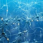 How cognitive behavioral therapy changes brain and eases depression