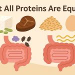 Not all proteins are equal: How different foods affect digestion and gut health