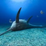 Scientists discover new ichthyosaur species in Jurassic clay pit