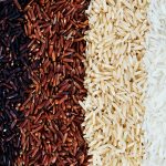 Scientists find way to grow more nutritious rice with less fertilizer