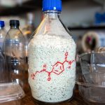 Scientists turn plastic waste into material that captures CO₂