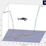 The world’s smallest dolphins dive 120 meters and roll to catch prey